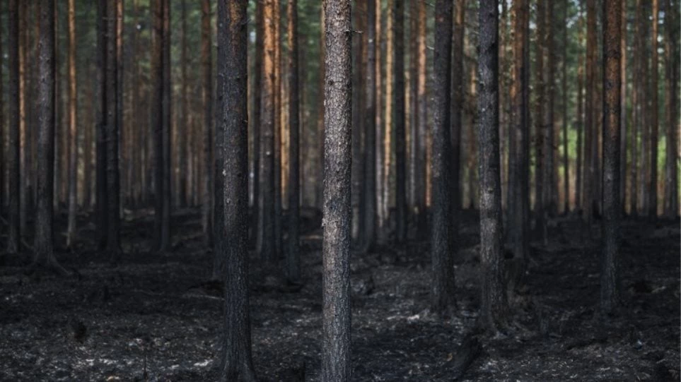 Σουηδία: Η Πολεμική Αεροπορία τιθασεύει με βόμβες τις εστίες πυρκαγιών